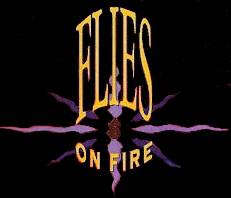 logo Flies On Fire